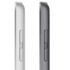 iPad 10,2" (2021) Wi-Fi 256 ГБ, Silver